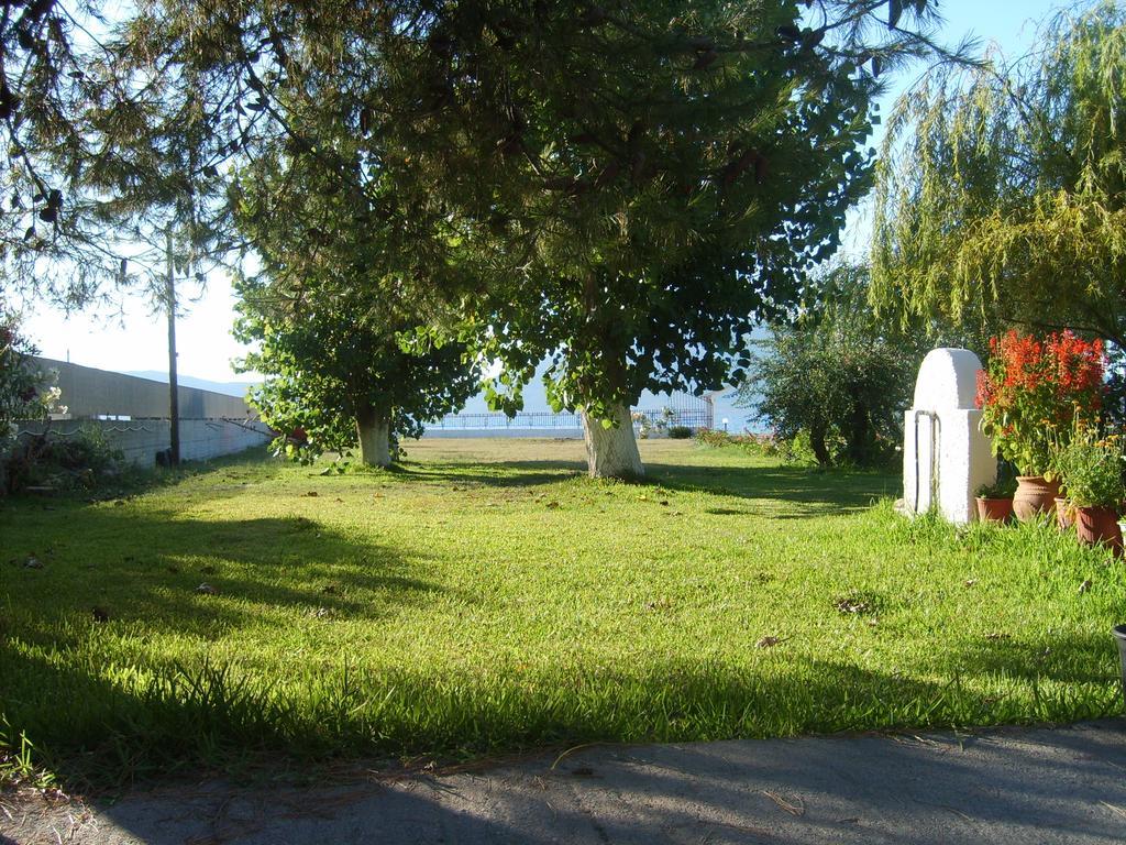 Apartments Skardoutsou Αγιόκαμπος Εξωτερικό φωτογραφία